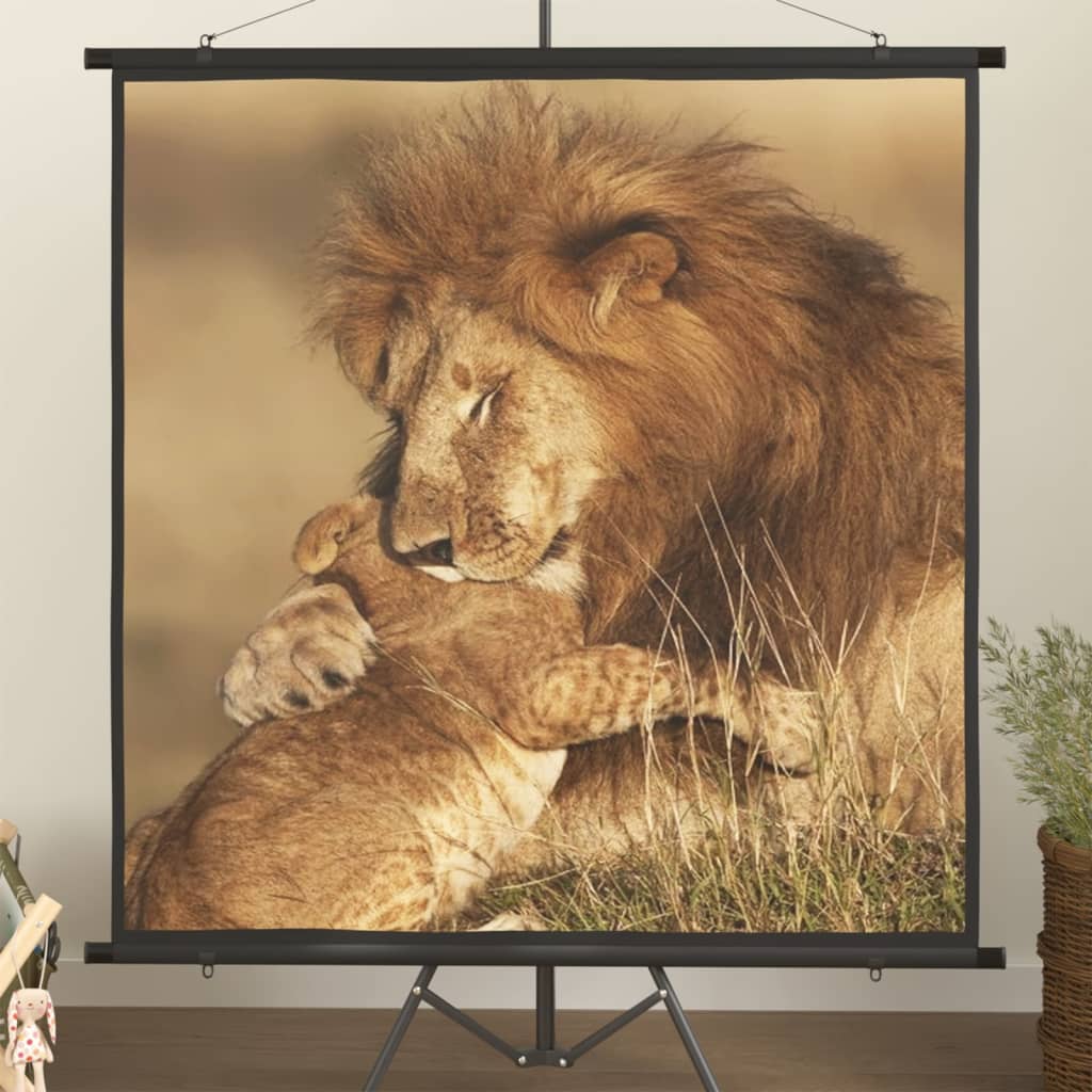 Projection Screen 81" 1:1