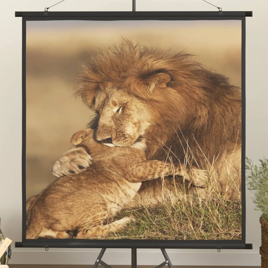 Projection Screen 72" 1:1