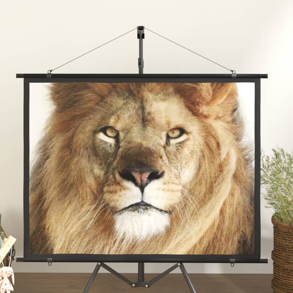 Projection Screen 60" 4:3