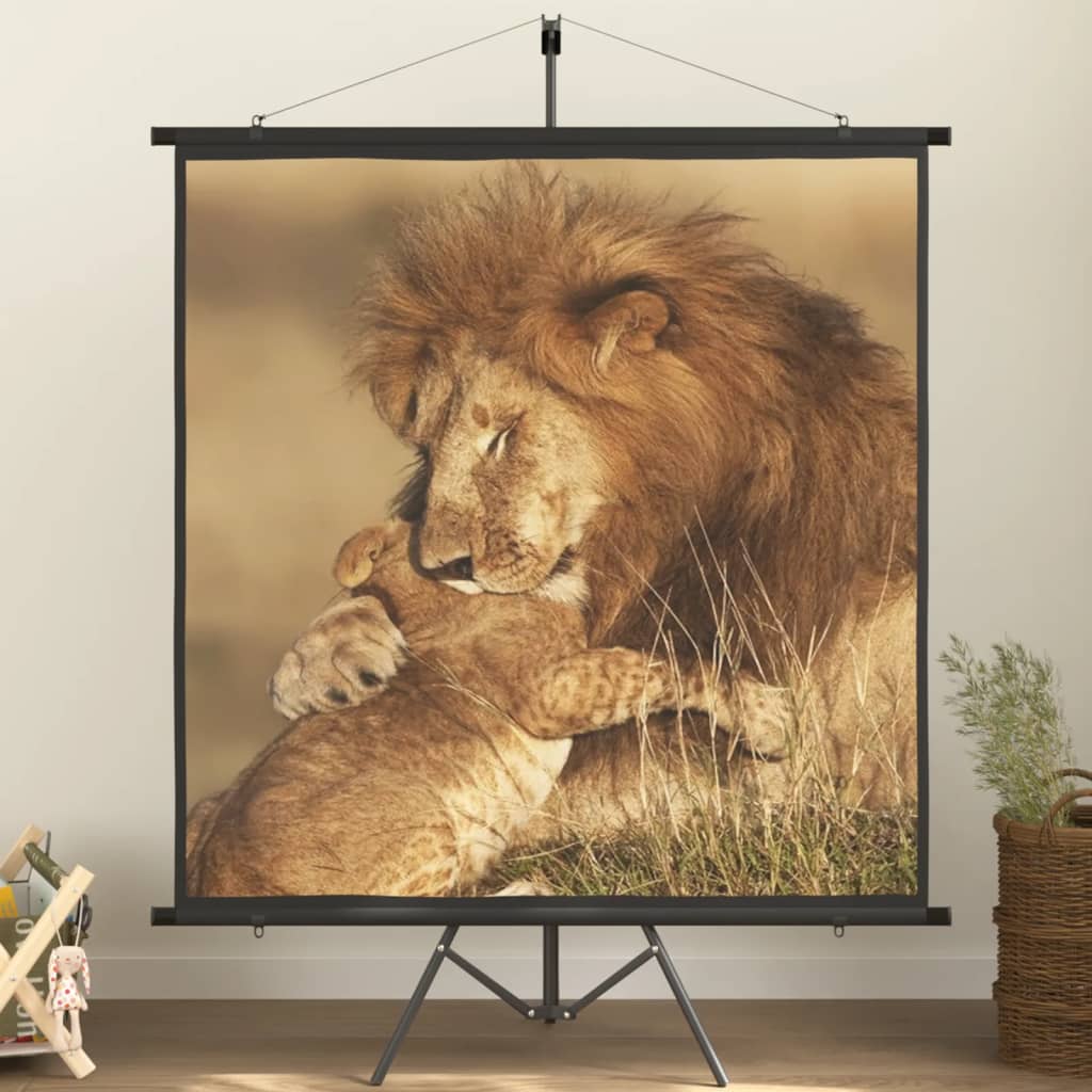 Projection Screen with Tripod 89" 1:1