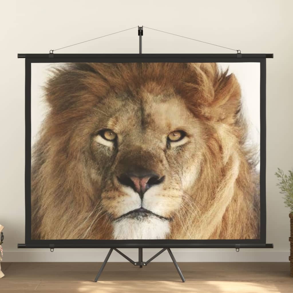 Projection Screen 100" 4:3